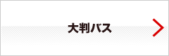 大判バス